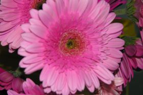 Bloemstukken09 025.jpg